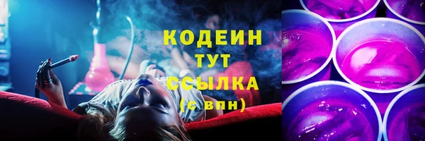 apvp Алзамай