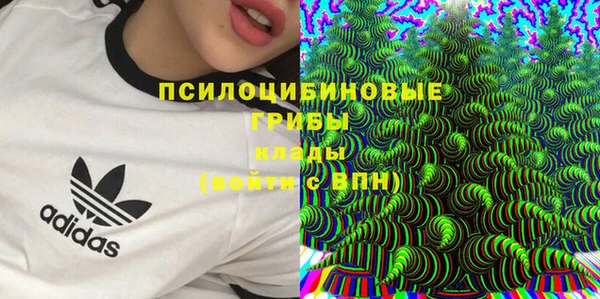 стафф Навашино
