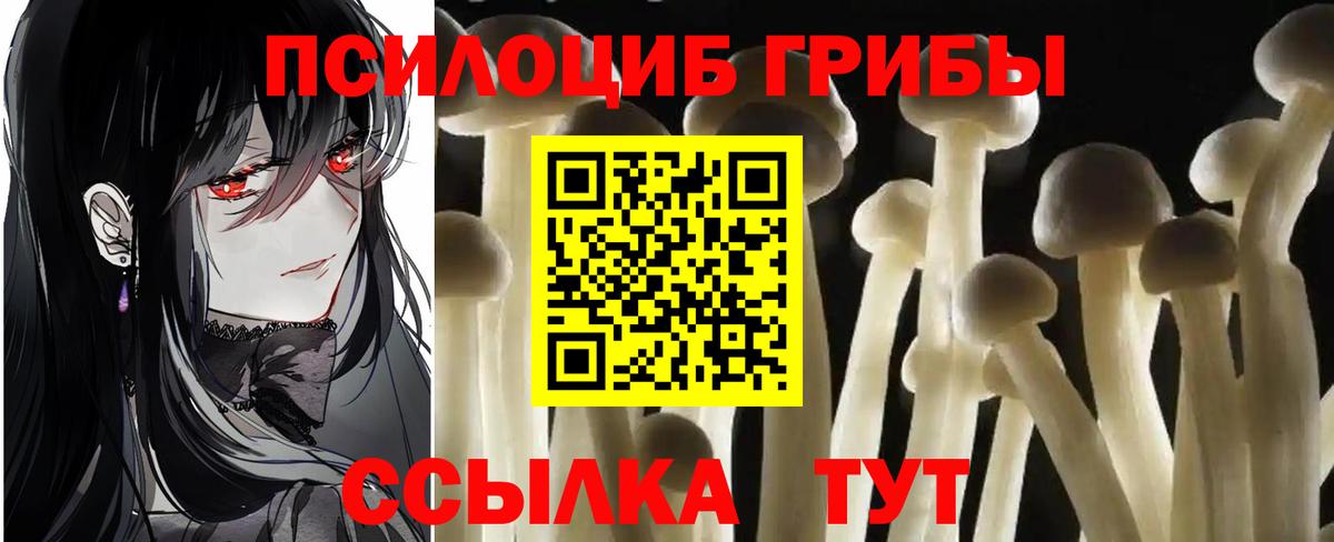 Галлюциногенные грибы мухоморы  Галлюциногенные грибы Magic Shrooms  как найти   Вход с VPN  Прокопьевск 