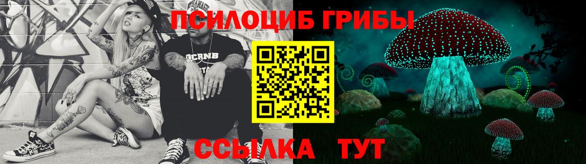 Псилоцибиновые грибы прущие грибы  купить наркоту  Прокопьевск 